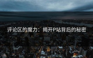 评论区的魔力：揭开P站背后的秘密