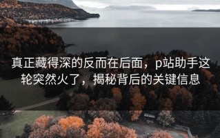 真正藏得深的反而在后面，p站助手这轮突然火了，揭秘背后的关键信息