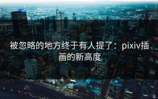被忽略的地方终于有人提了：pixiv插画的新高度