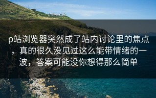 p站浏览器突然成了站内讨论里的焦点，真的很久没见过这么能带情绪的一波，答案可能没你想得那么简单