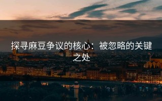 探寻麻豆争议的核心：被忽略的关键之处