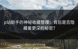 p站助手的神秘收藏整理：背后是否隐藏着更深的秘密？
