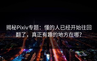 揭秘Pixiv专题：懂的人已经开始往回翻了，真正有趣的地方在哪？