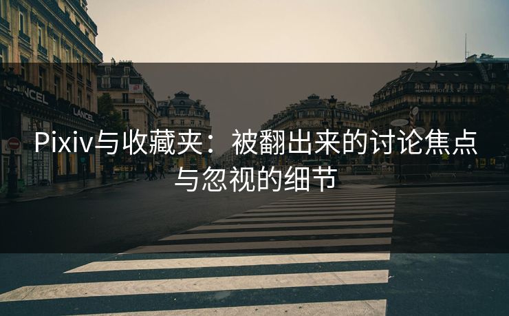 Pixiv与收藏夹：被翻出来的讨论焦点与忽视的细节-第1张图片-p站助手短视频 - p站搬运工影视网
